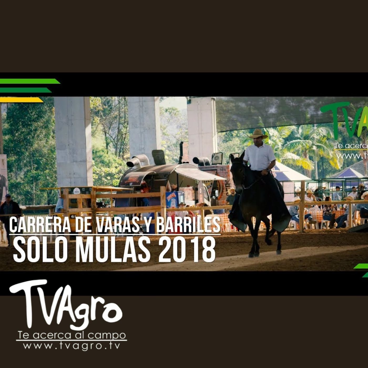 TV AGRO