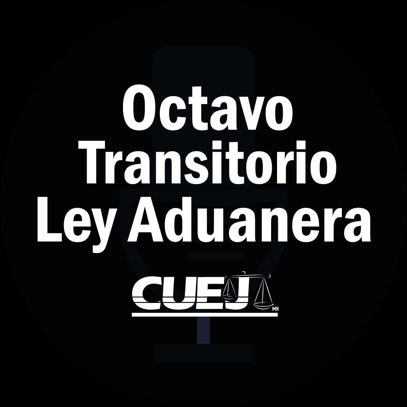 Audio Ley Aduanera