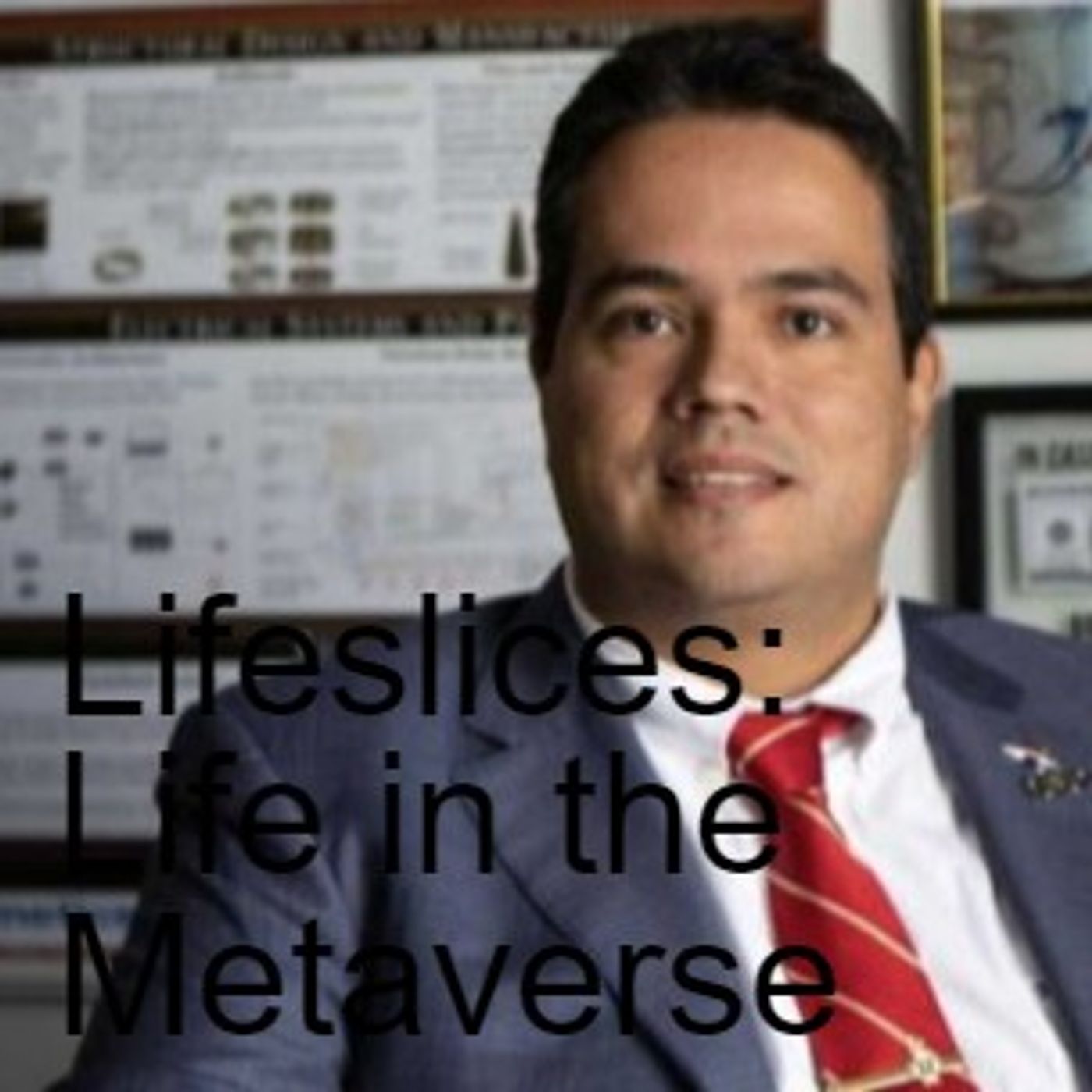 Lifeslices: Life in the Metaverse episode artwork