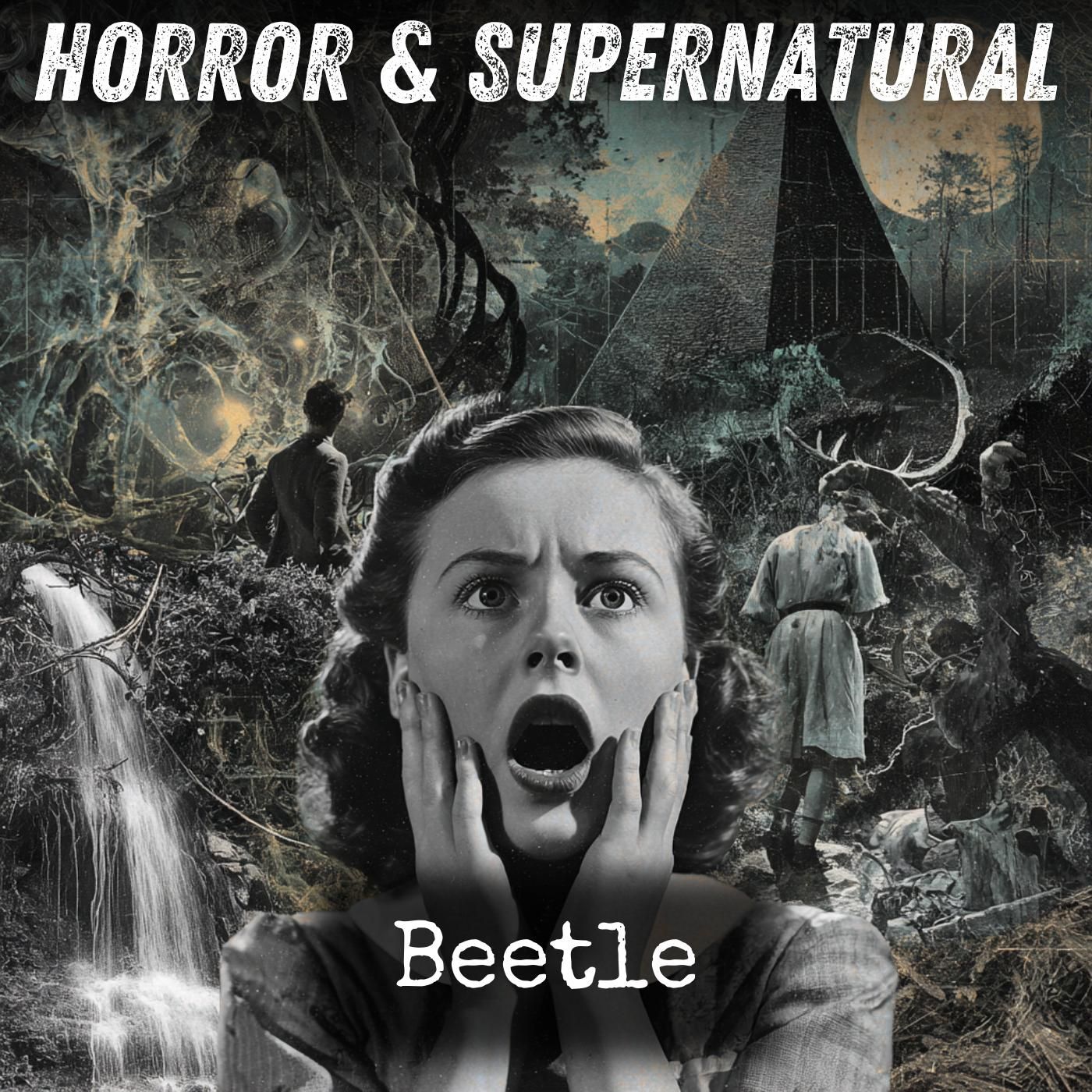 Beetle