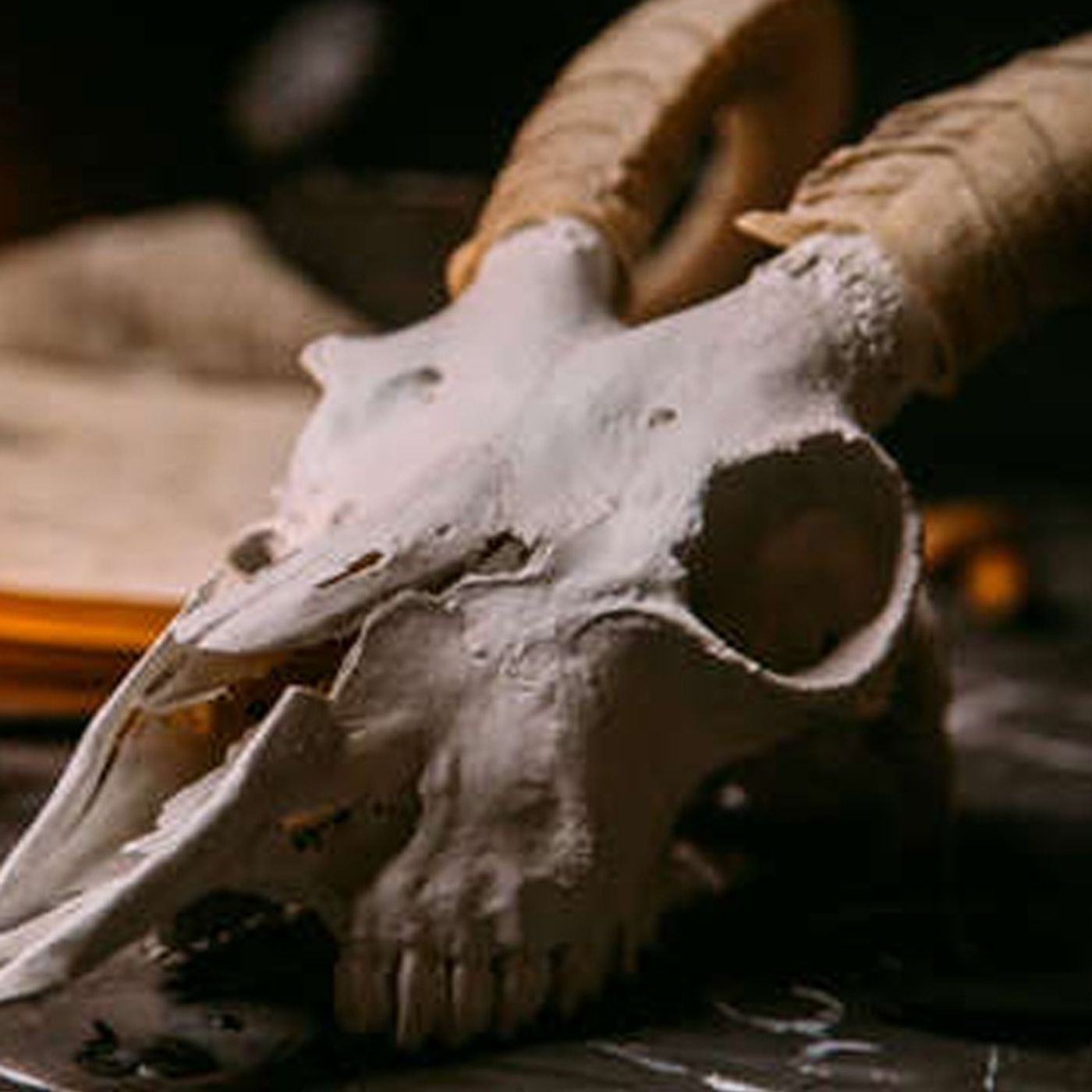 Apostando Tu Vida: Objetos Malditos - Historias De Terror - Voces De La Noche