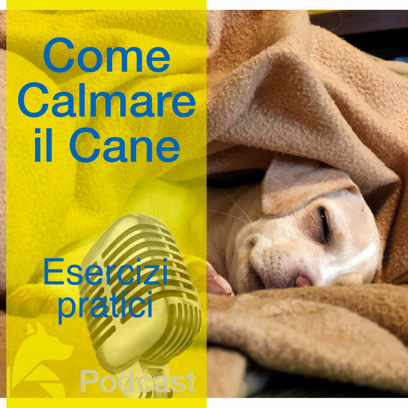 StiCani Educazione Cinofila