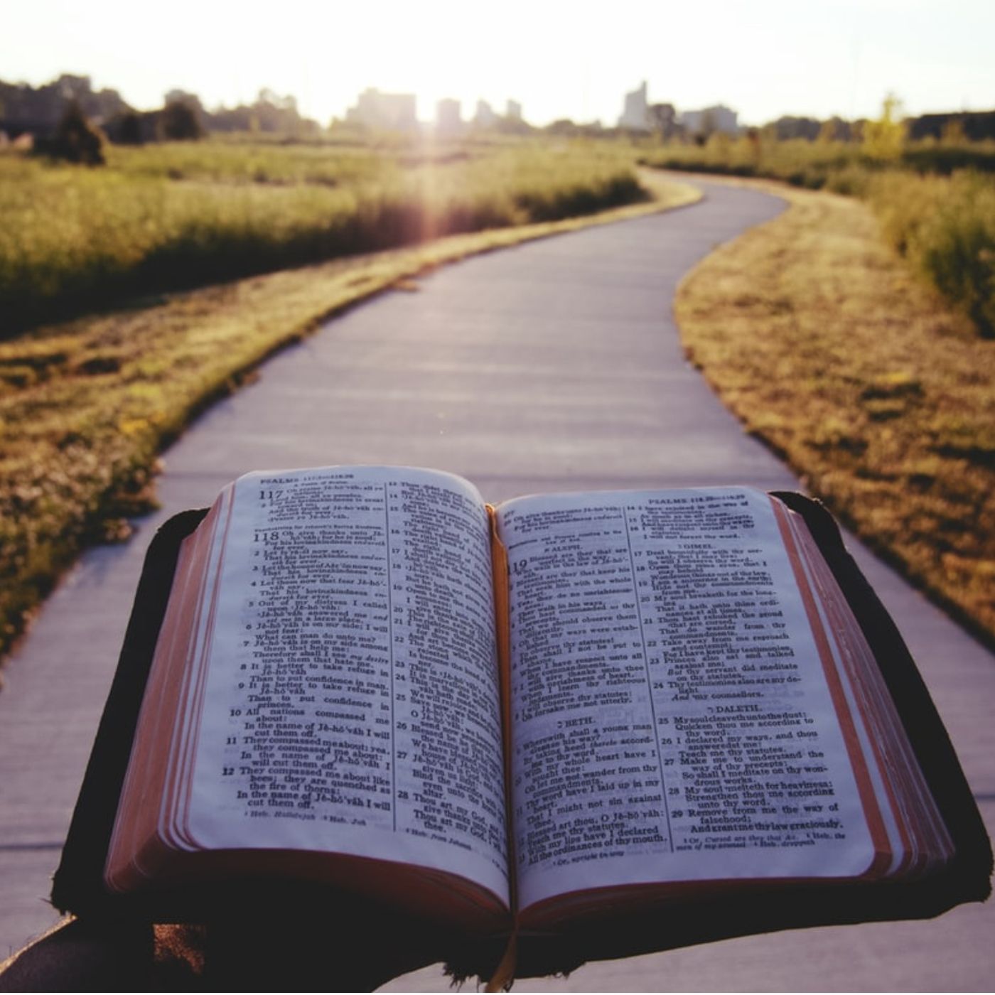 Psalms chapter 35