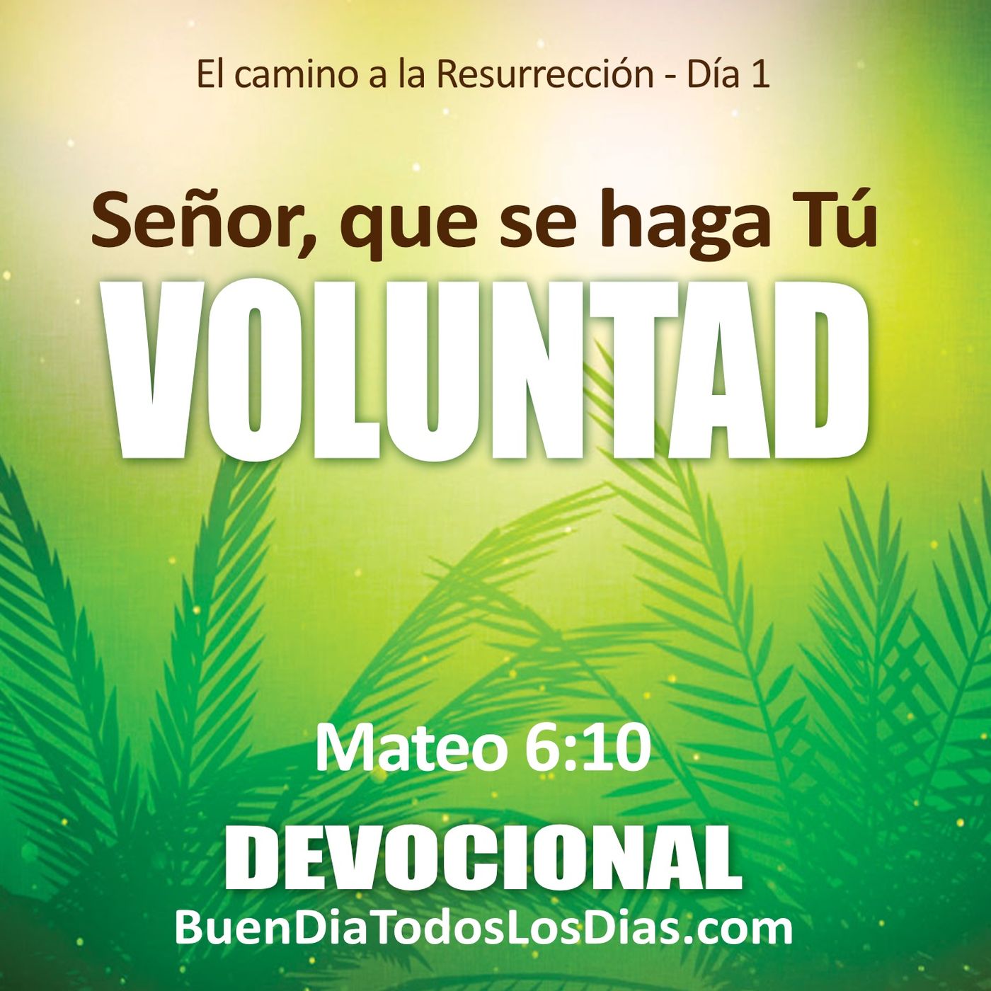 El camino a la resurrección  – Día 1 episode artwork