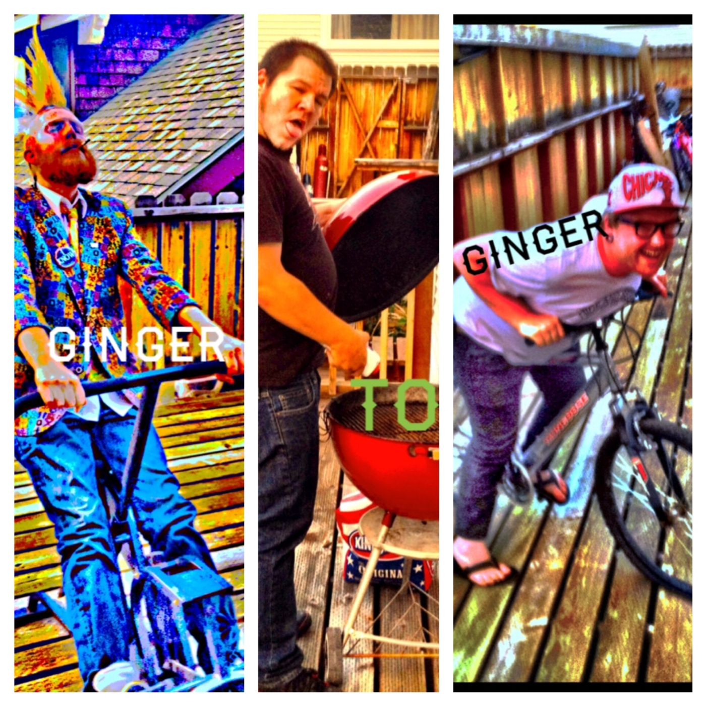 Ginger to Ginger