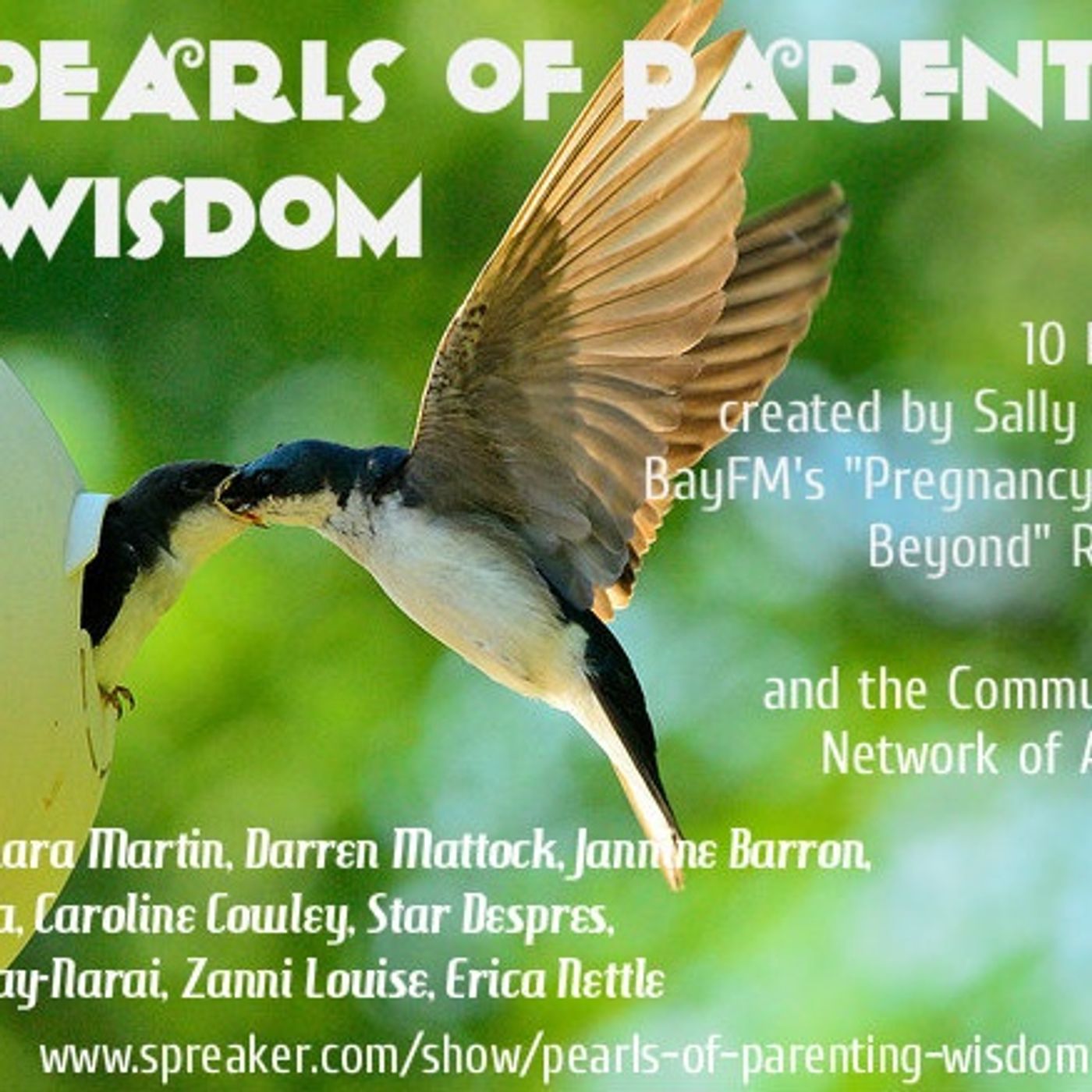 Pregnancy, Birth and Beyond