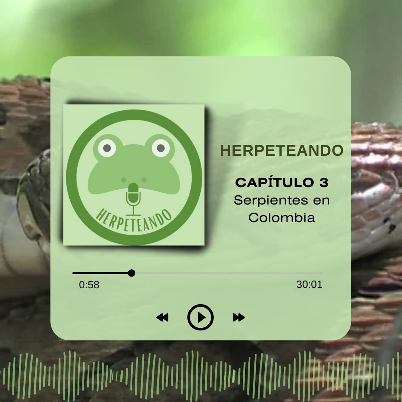 Capitulo 3 Serpientes