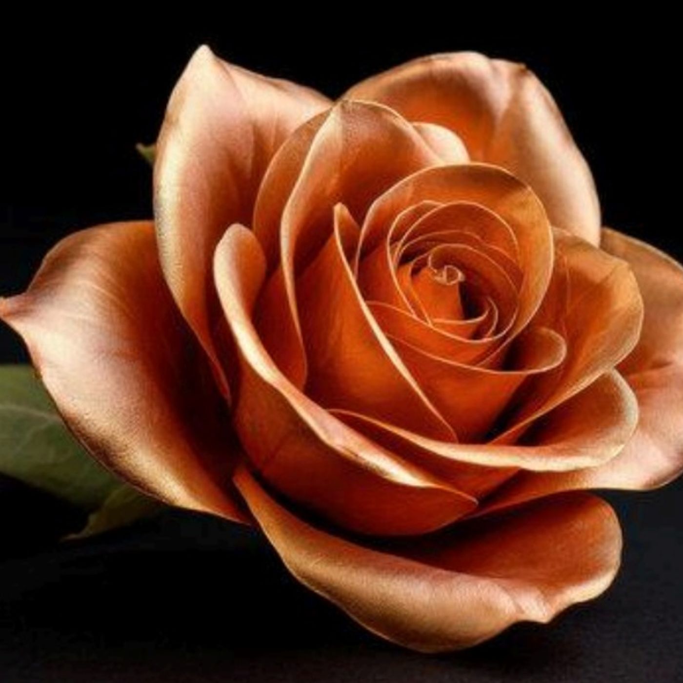 Meditazioni guidate ✨ La Porta della Luce