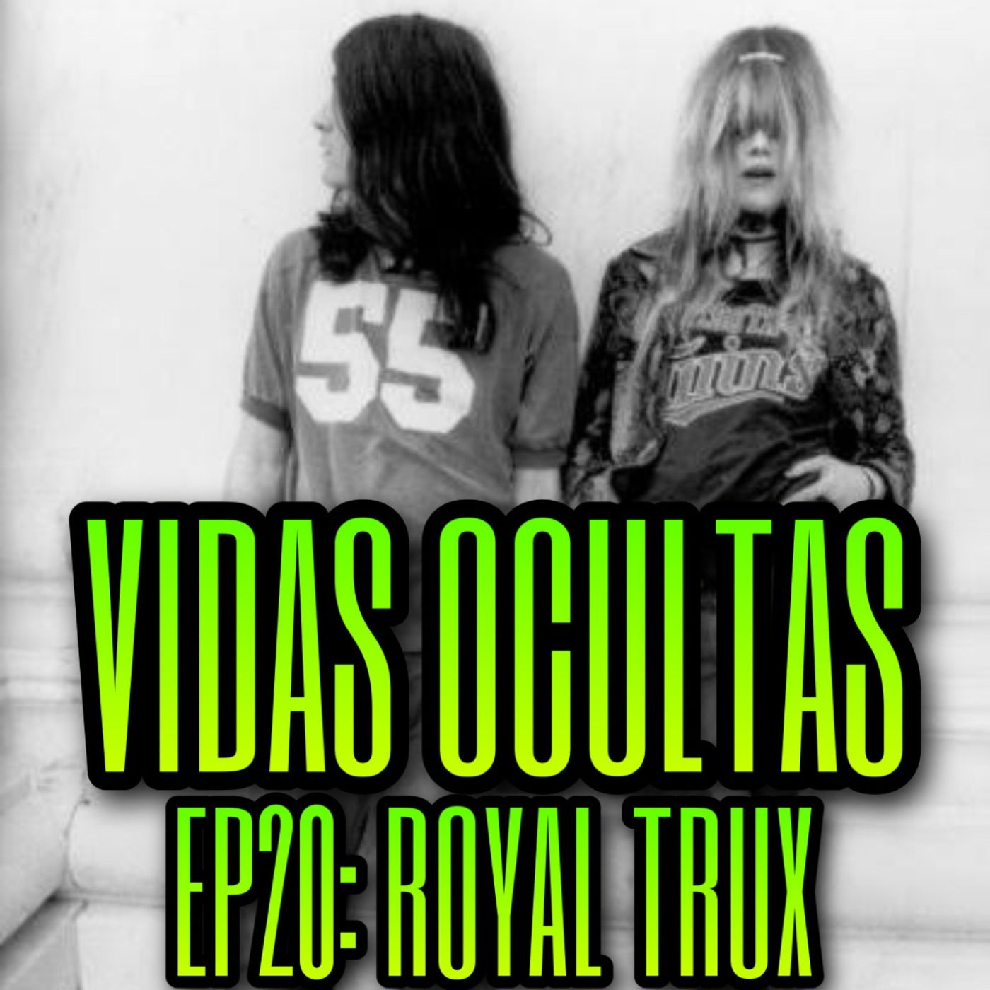 Vidas Ocultas