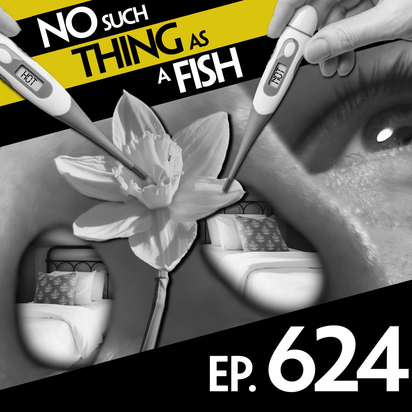 No Such Thing As A Hedgehog In A Lifeboat episode artwork