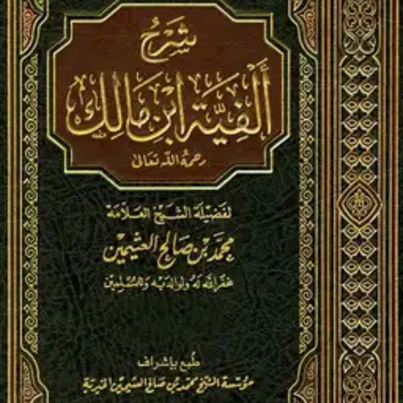 شرح ألفية ابن مالك - الشيخ محمد محمود ا