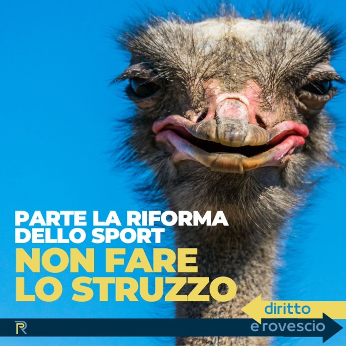 Diritto e Rovescio