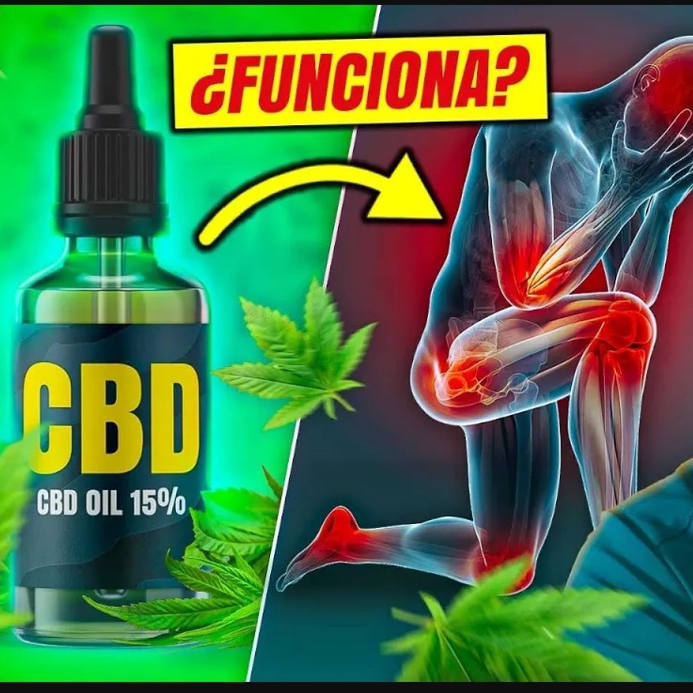 CBD, THC y CANNABINOIDES: ¿PUEDEN ALIVIAR el DOLOR CRÓNICO?