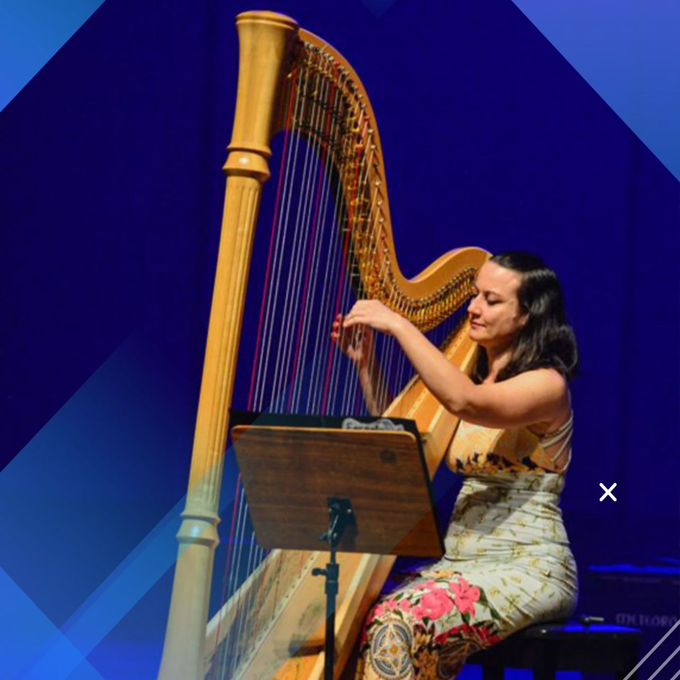 Rio Harp Festival episode artwork