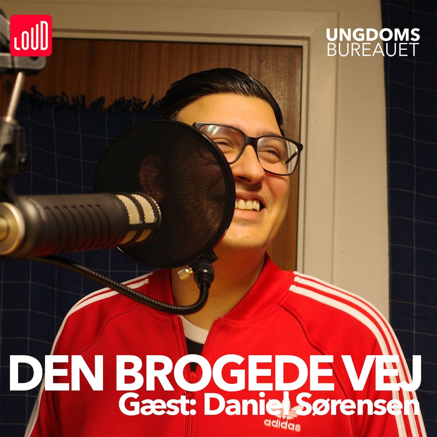 Den Brogede Vej