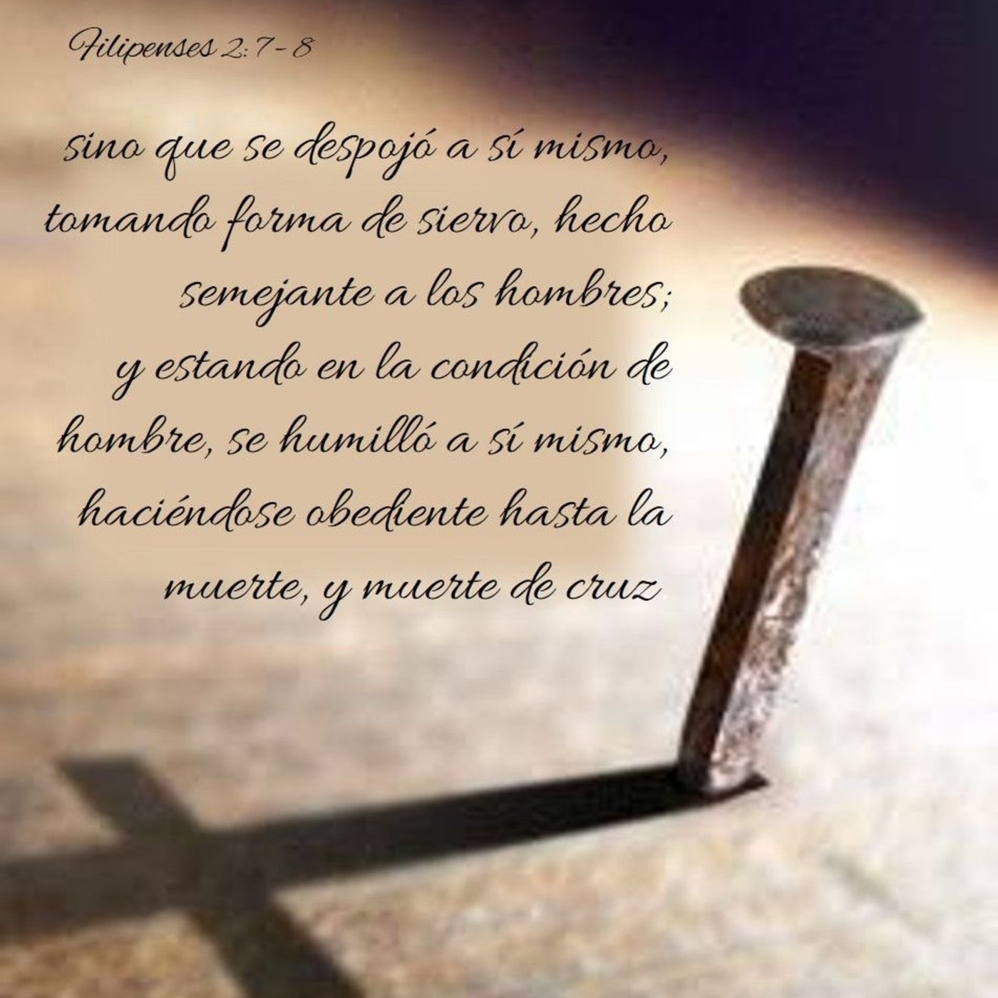 Proyecto hay vida en Jesús