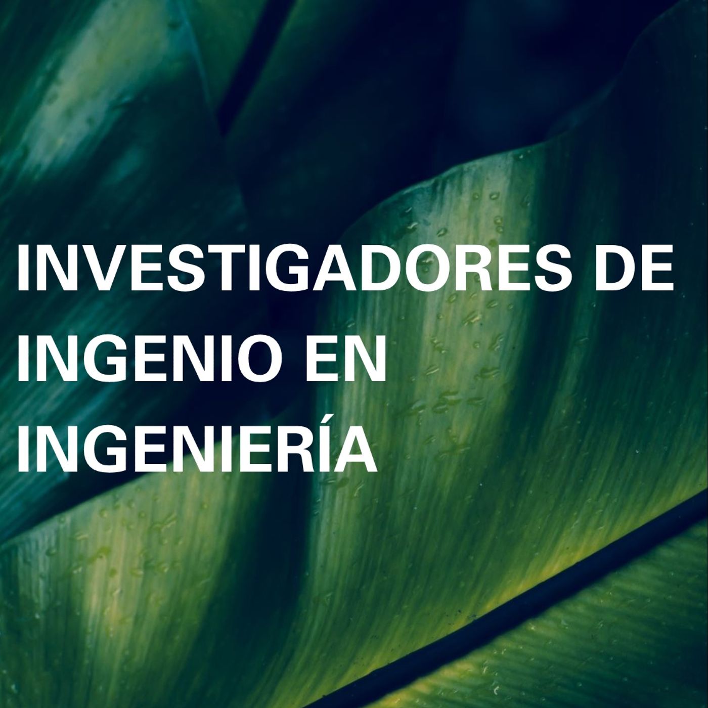 Investigadores de ingenio en ingeniería