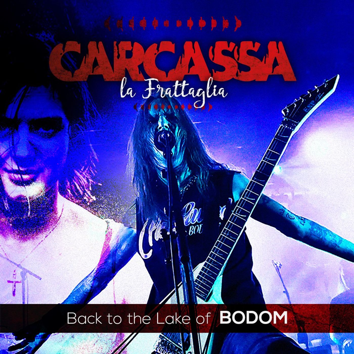 Carcassa
