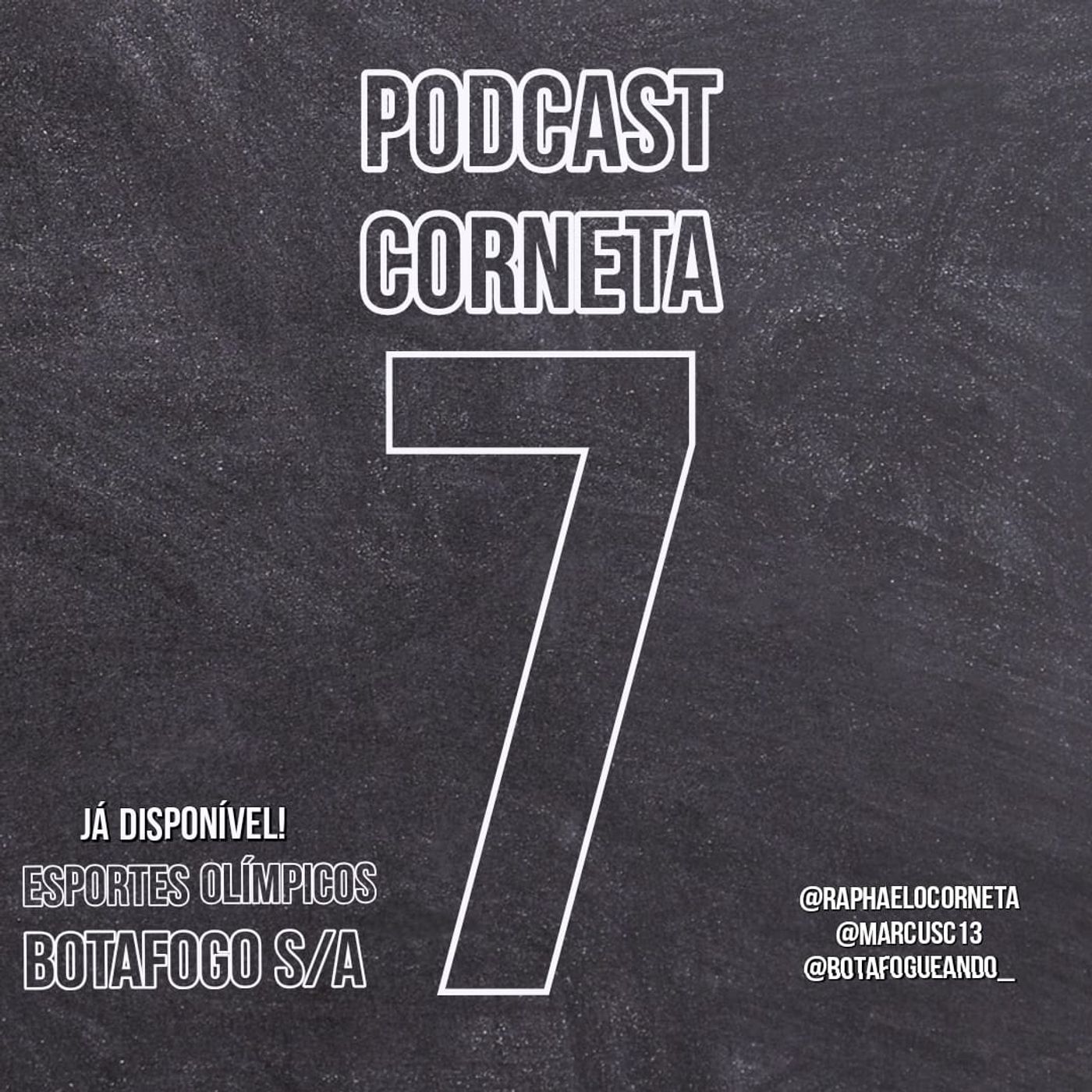 [17] Dinheiro investido no basquete / BOTAFOGO S/A