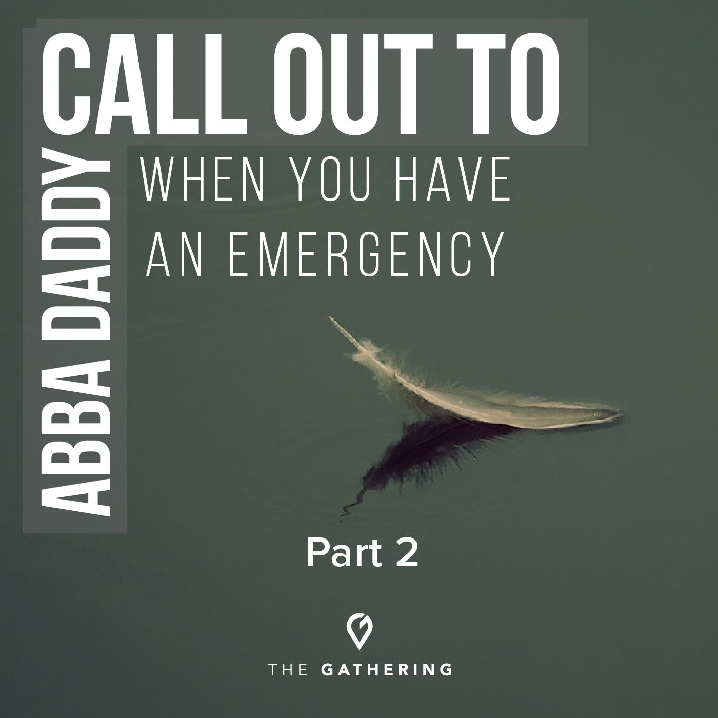 Call Out to Abba Daddy When You Have an Emergency episode artwork