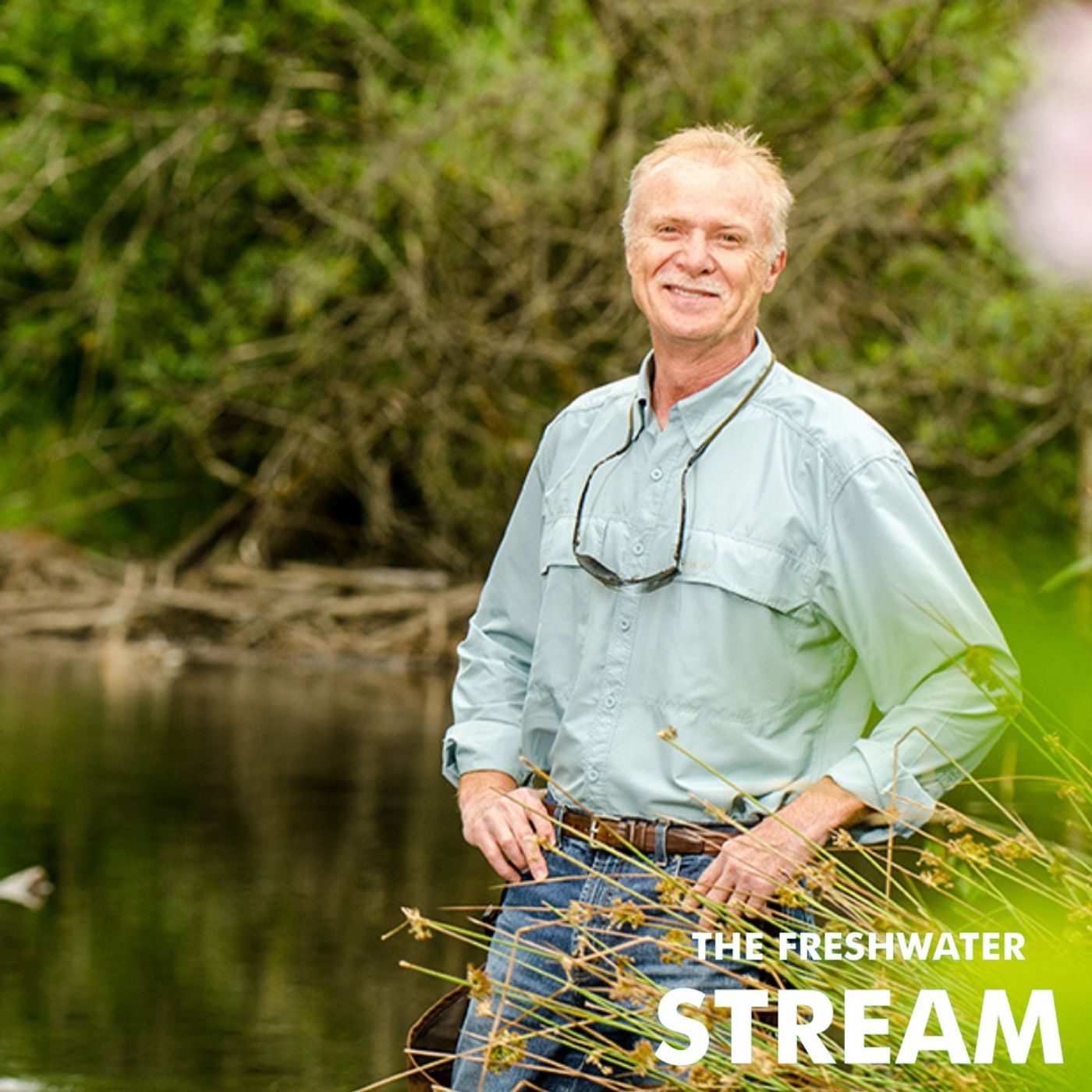 Freshwater Stream