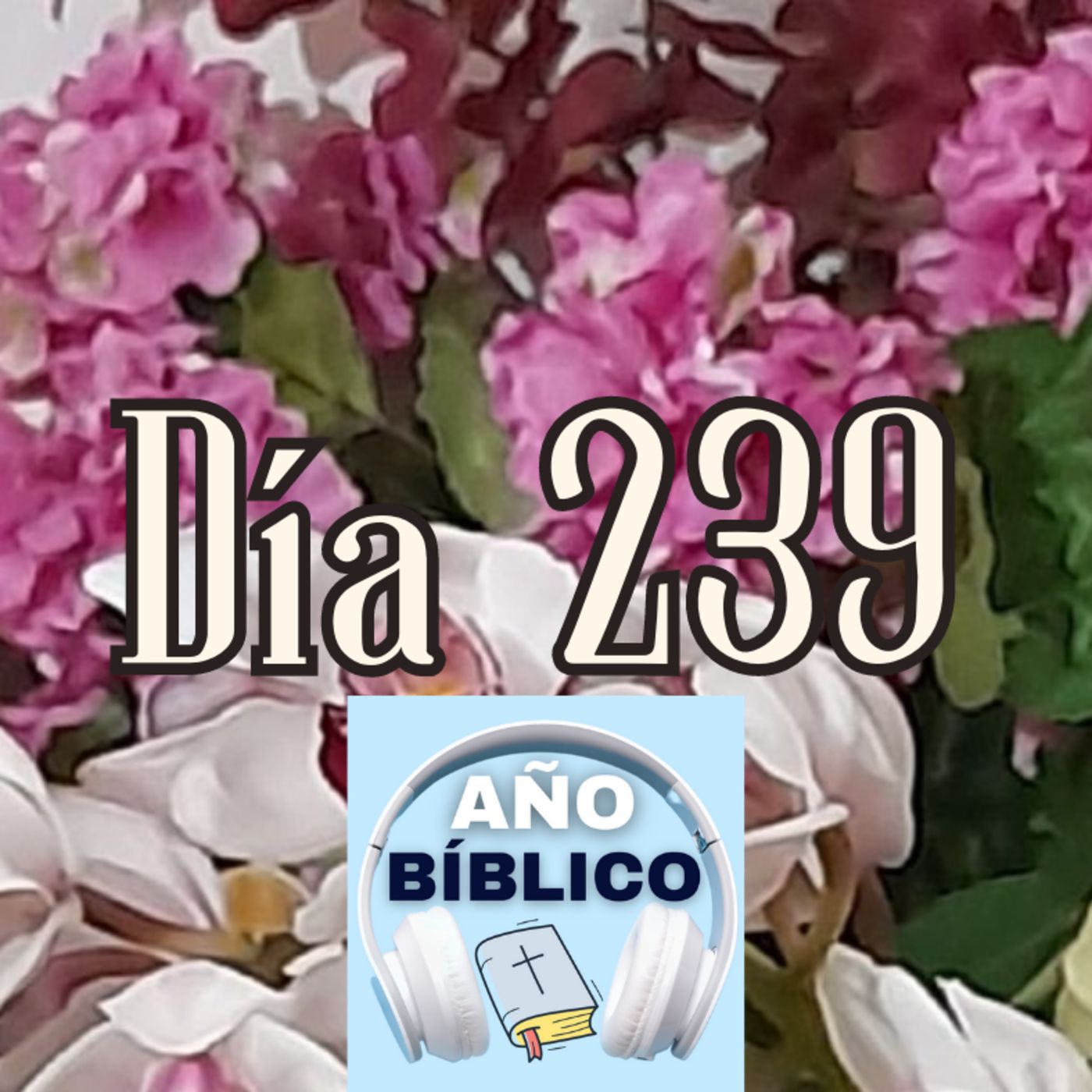 Día 239 - Salmo 99:1-5, Proverbios 26-28 y 1 Corintios 16 episode artwork