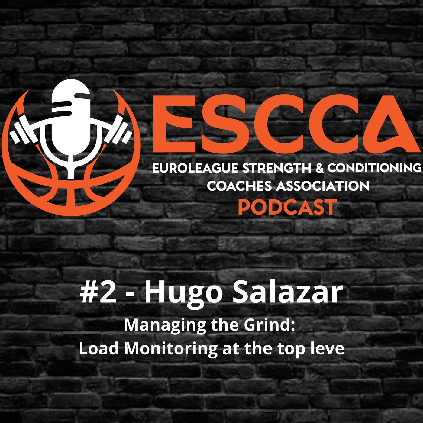 #2 - Hugo Salazar - Managing the Grind: Load Monitoring at the top level