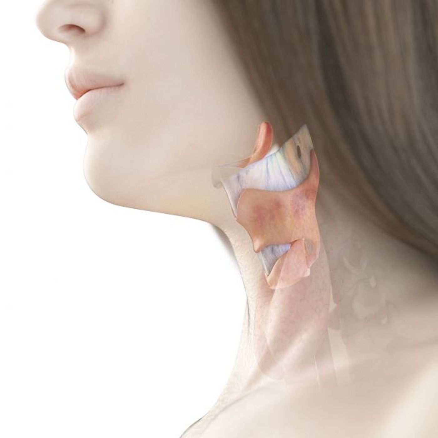 TUVOZERESTÚ - TRASTORNOS DE LA VOZ: LA DISFONÍA.