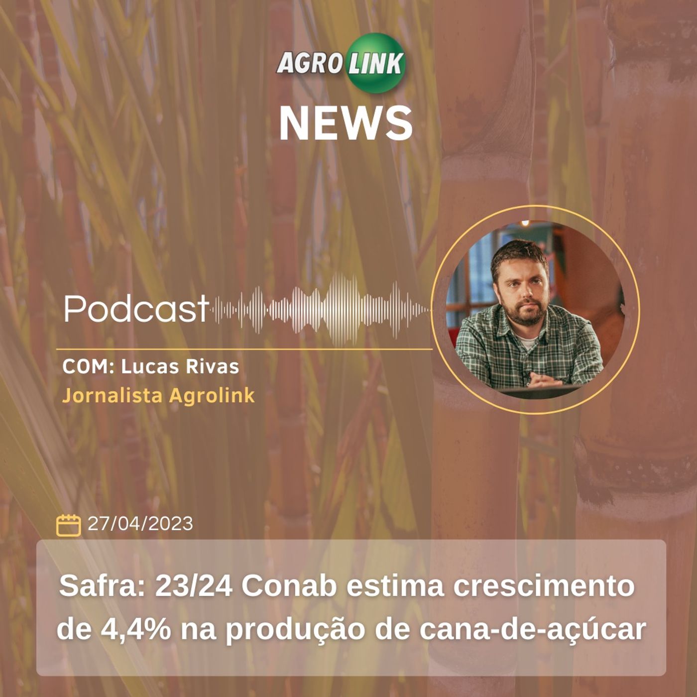 Reino Unido aumenta cotas de importação de frango do Brasil episode artwork
