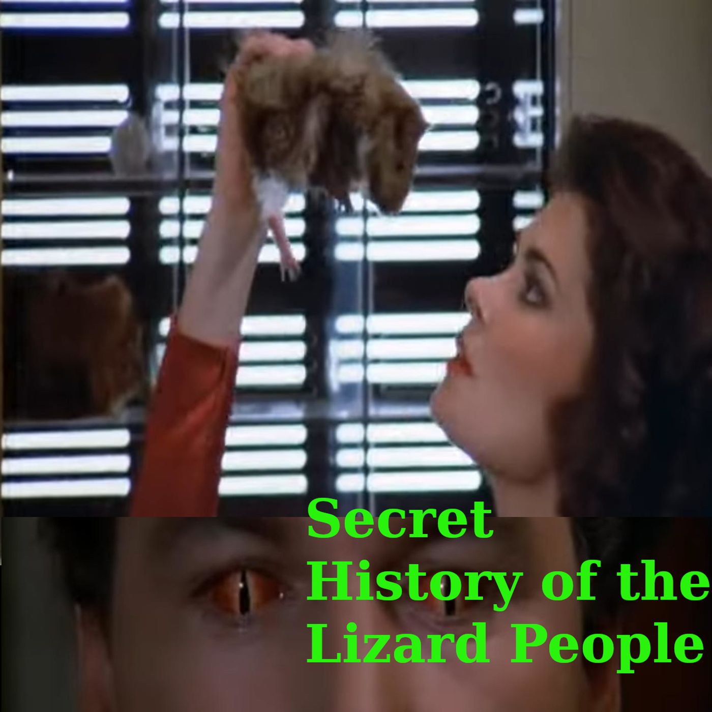 S05E12 The Secret History of Lizard People
