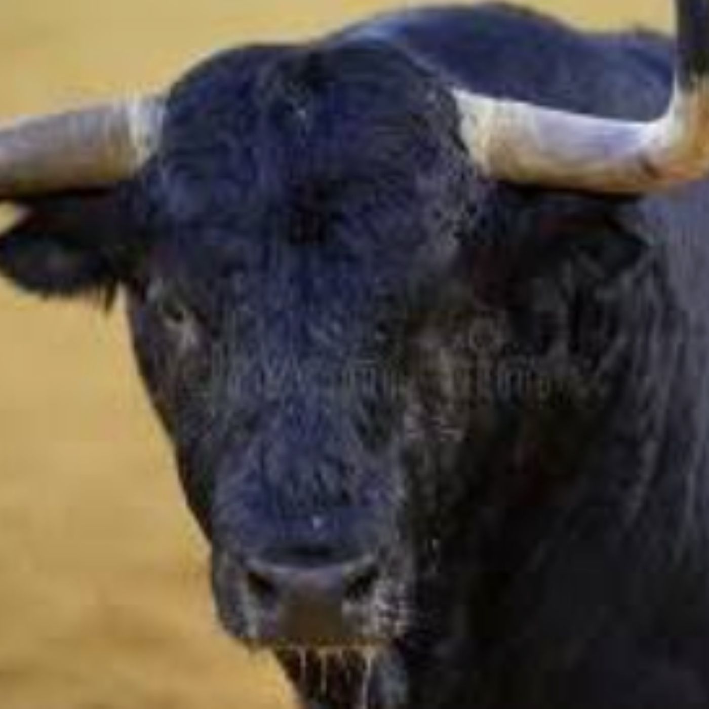 No Bull!  Time to talk Stampede Rodeo '26 with Rodeo Director Kevin Debusk! episode artwork