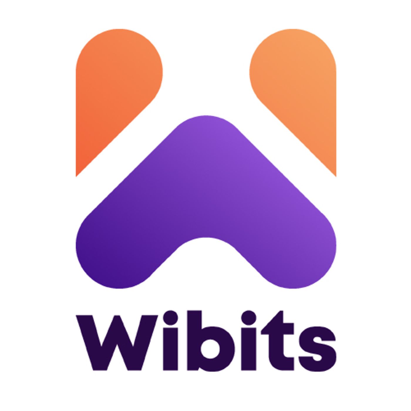 Wibits Web Solutions LLP