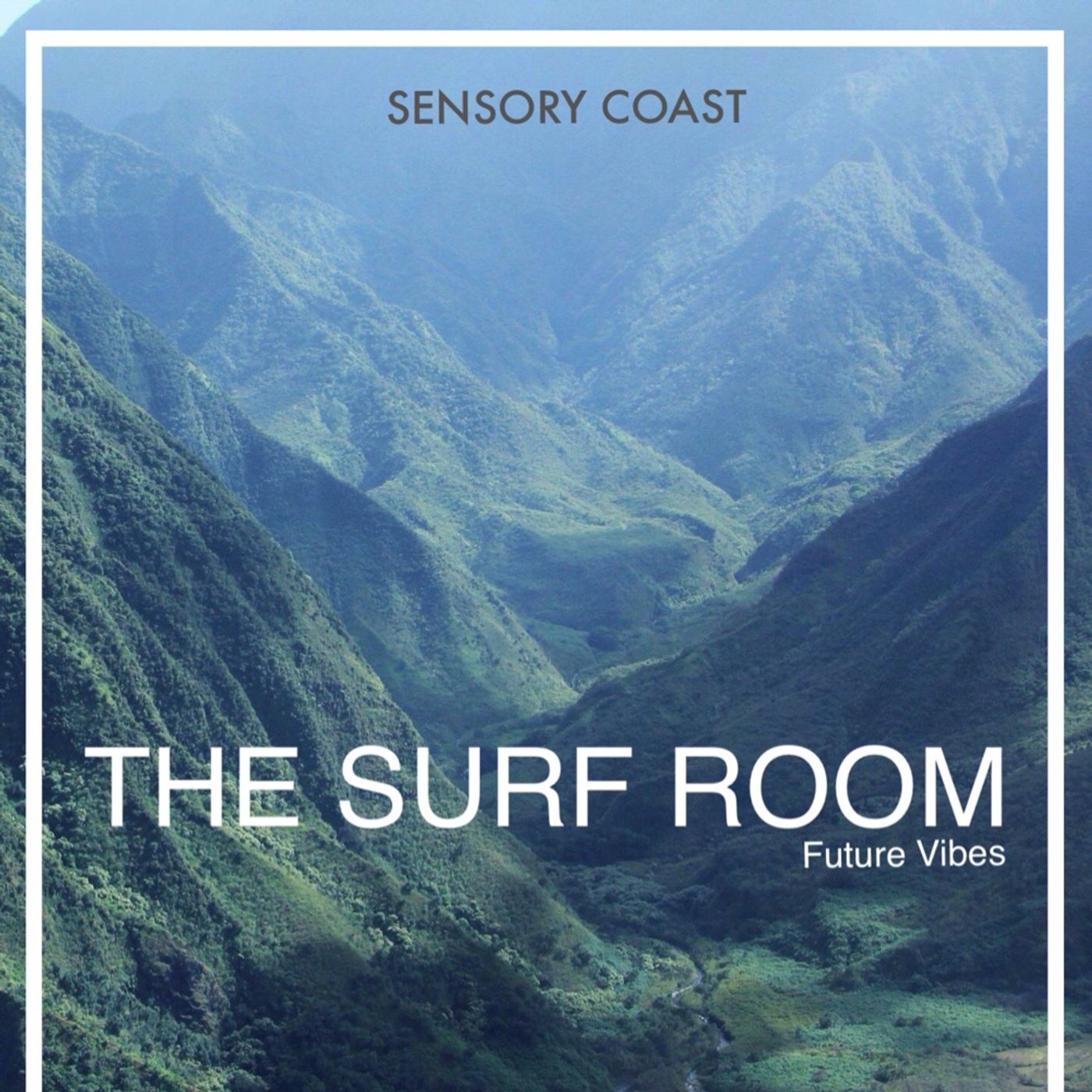 The Surf Room