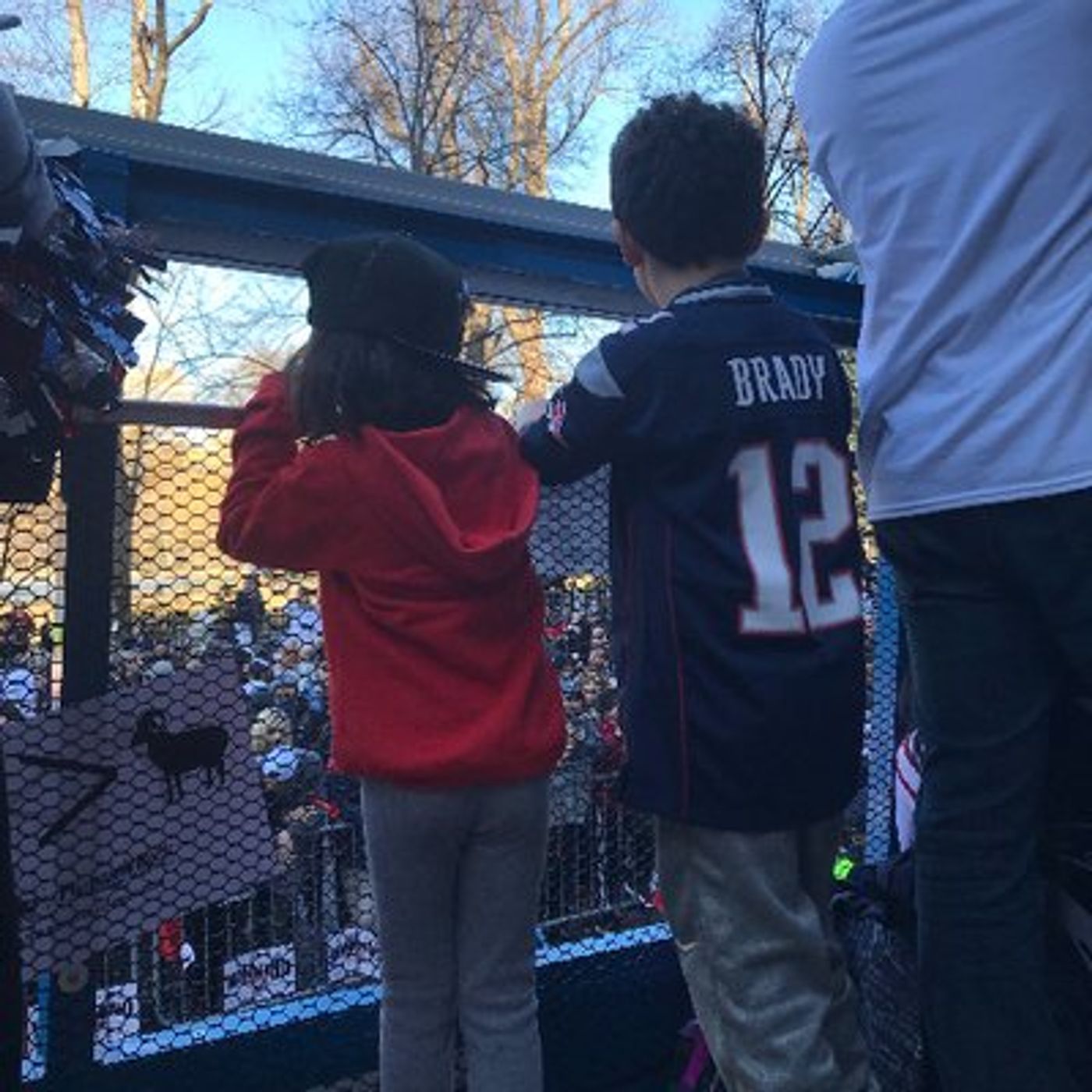 Radio Voice of the Patriots Bob Socci episode artwork