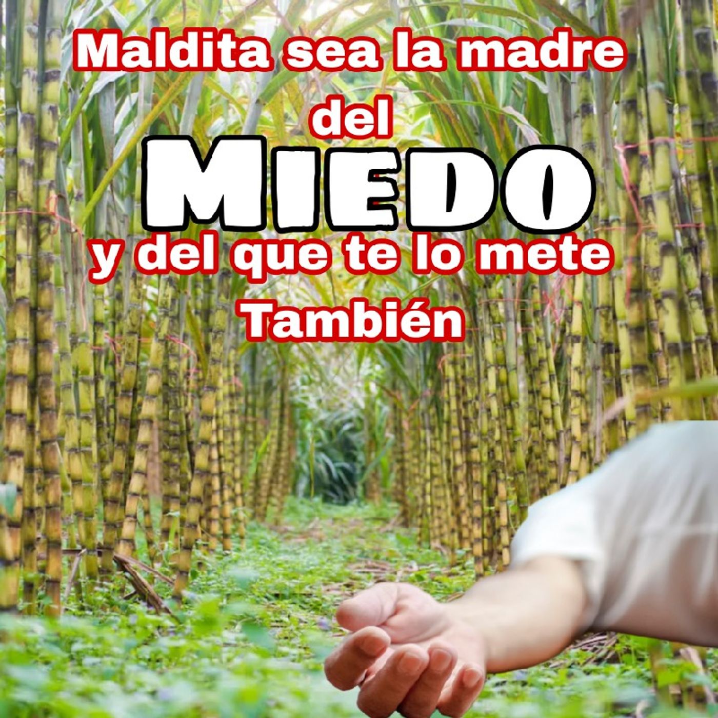 El Rant de Ax