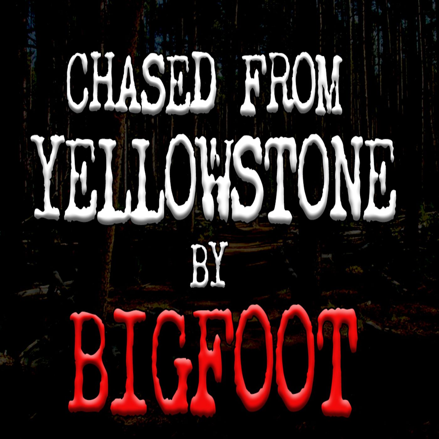 Bigfoot Chases Family from Yellowstone