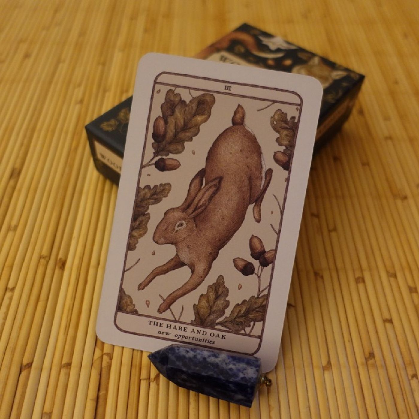 Diane\'s Tarot Diary: 我的塔羅日記