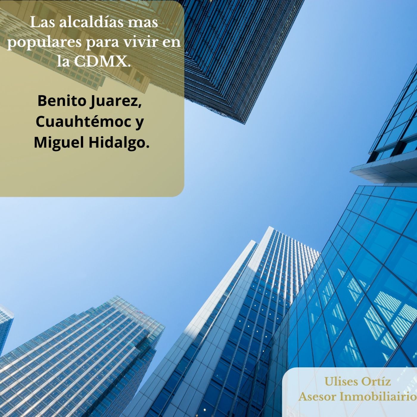 Ulises Ortiz Bienes Raíces