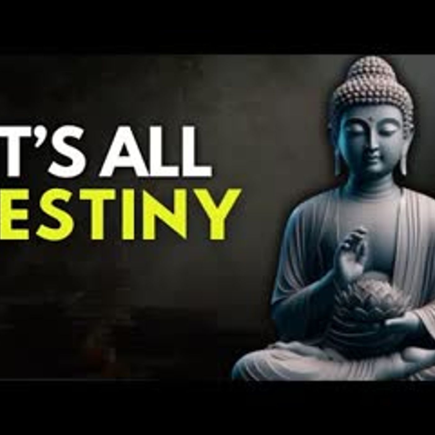 Everything Happens for a Reason   Buddhist Wisdom For Peace