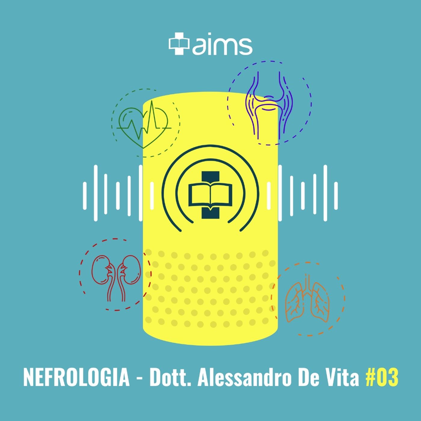 #03 - Insufficienza renale acuta / puntata 3