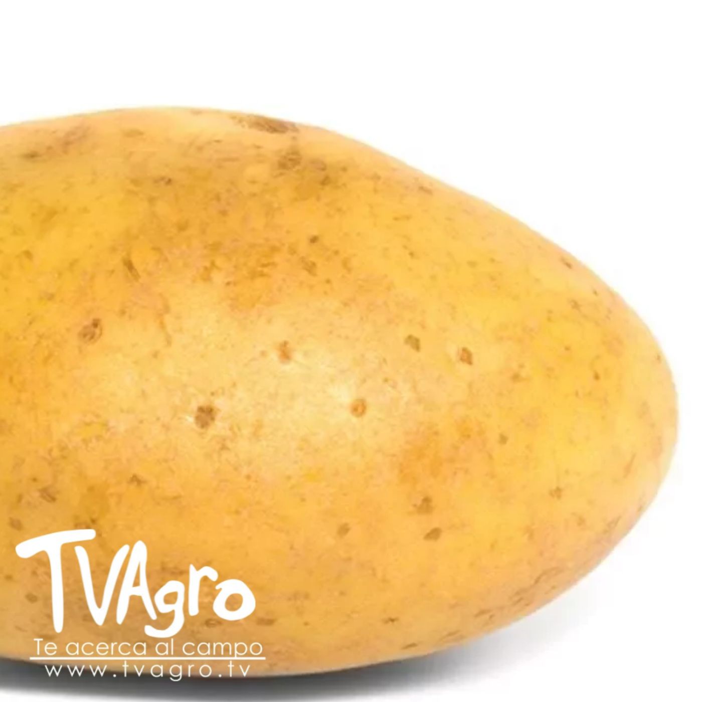 TV AGRO