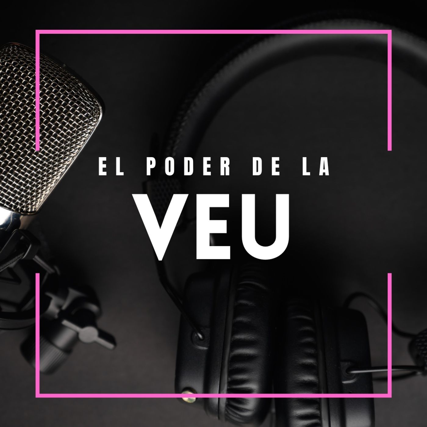 El valor de la veu podcast artwork