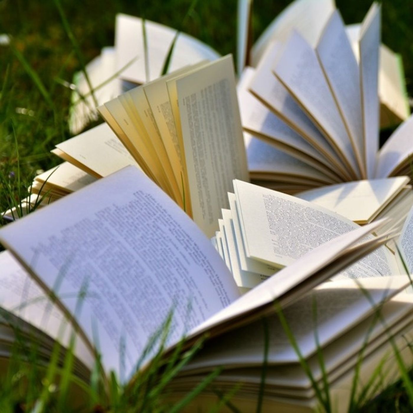 Come mucche in un prato: un libro al dì