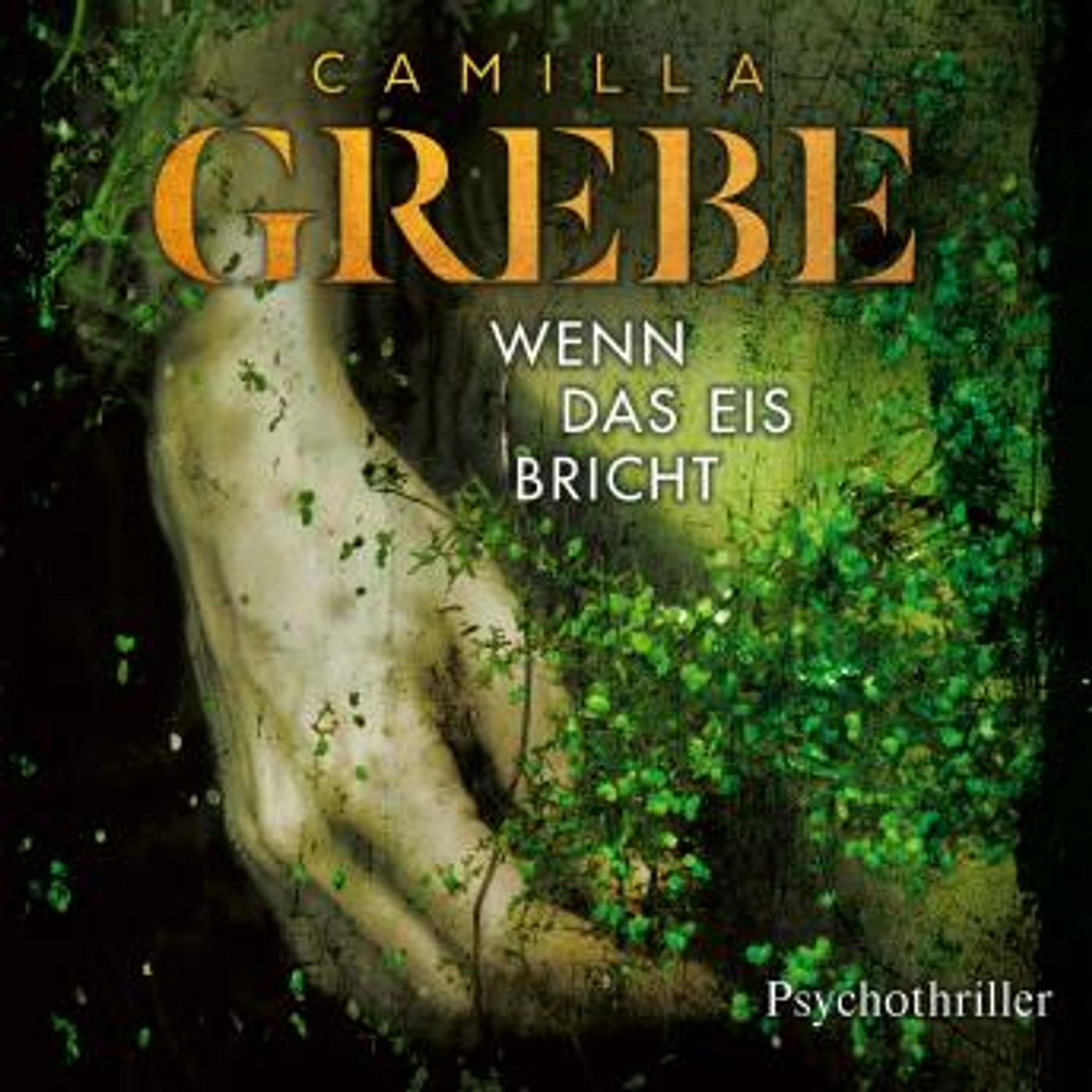 [German] - Wenn das Eis bricht - Die Profilerin, Band 1 (ungekürzt) by Camilla Grebe episode artwork
