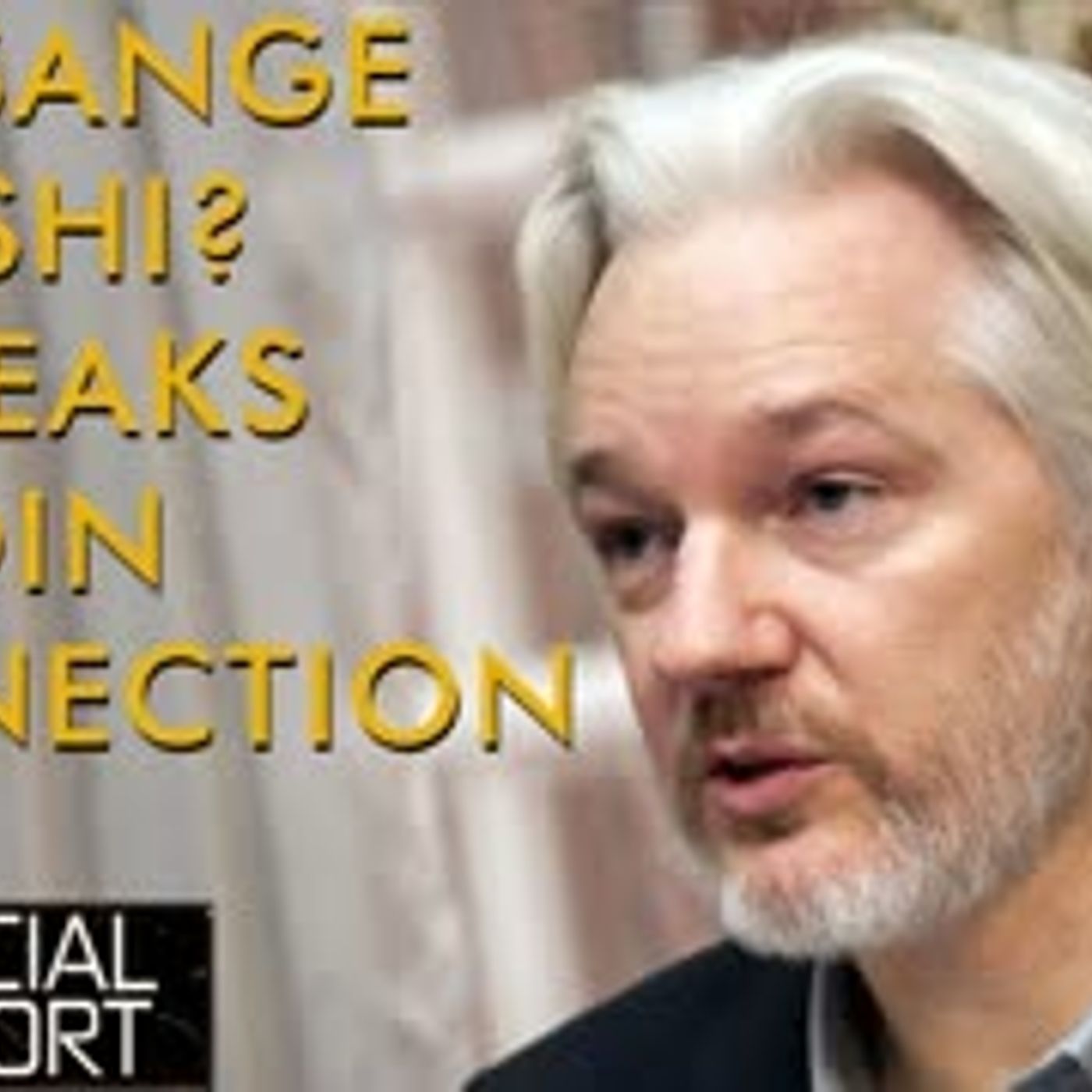 cover of episode Julian Assange Satoshi Connection & Wikileaks Bitcoin & Crypto Pioneer