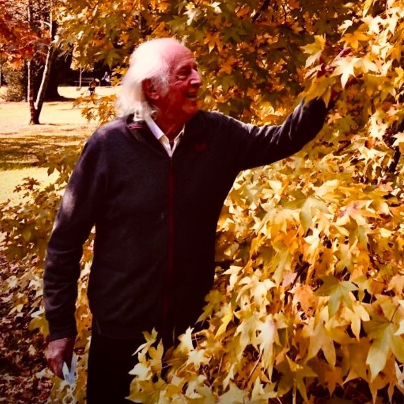 Giuseppe Proverbio: Foglie d'autunno