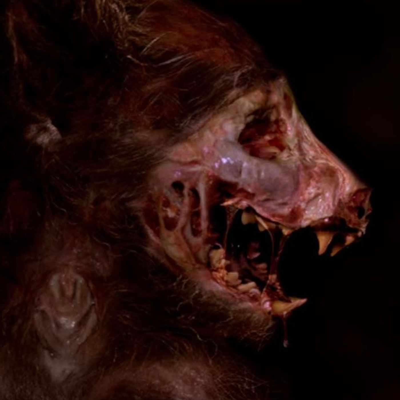 El Rancho De Los Nahuales Historias De Terror - REDE