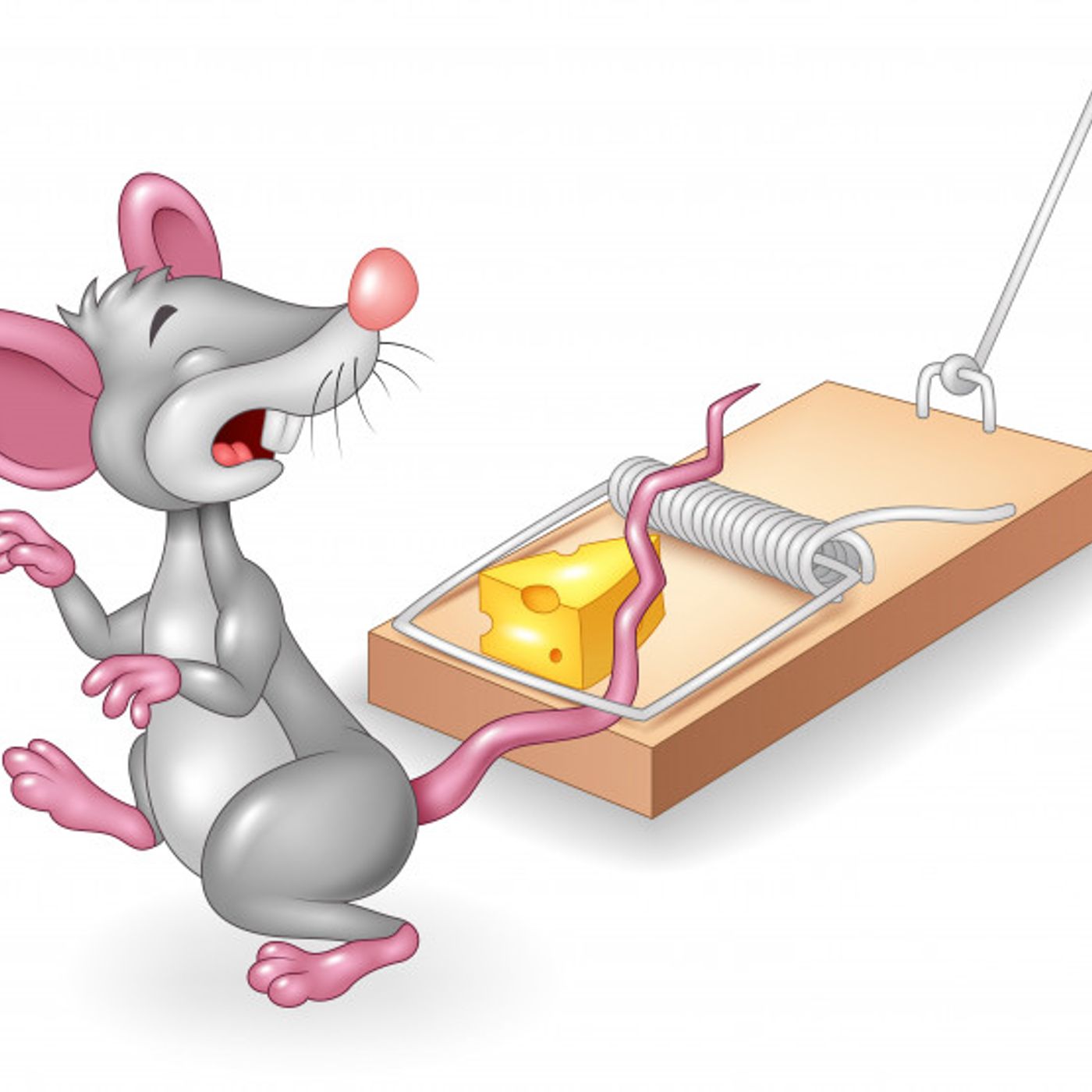 WHYTE SUPREMACY VS WHYTE SUPREMACY: DEMOCRAT CHEESE IN A TRAP! episode artwork
