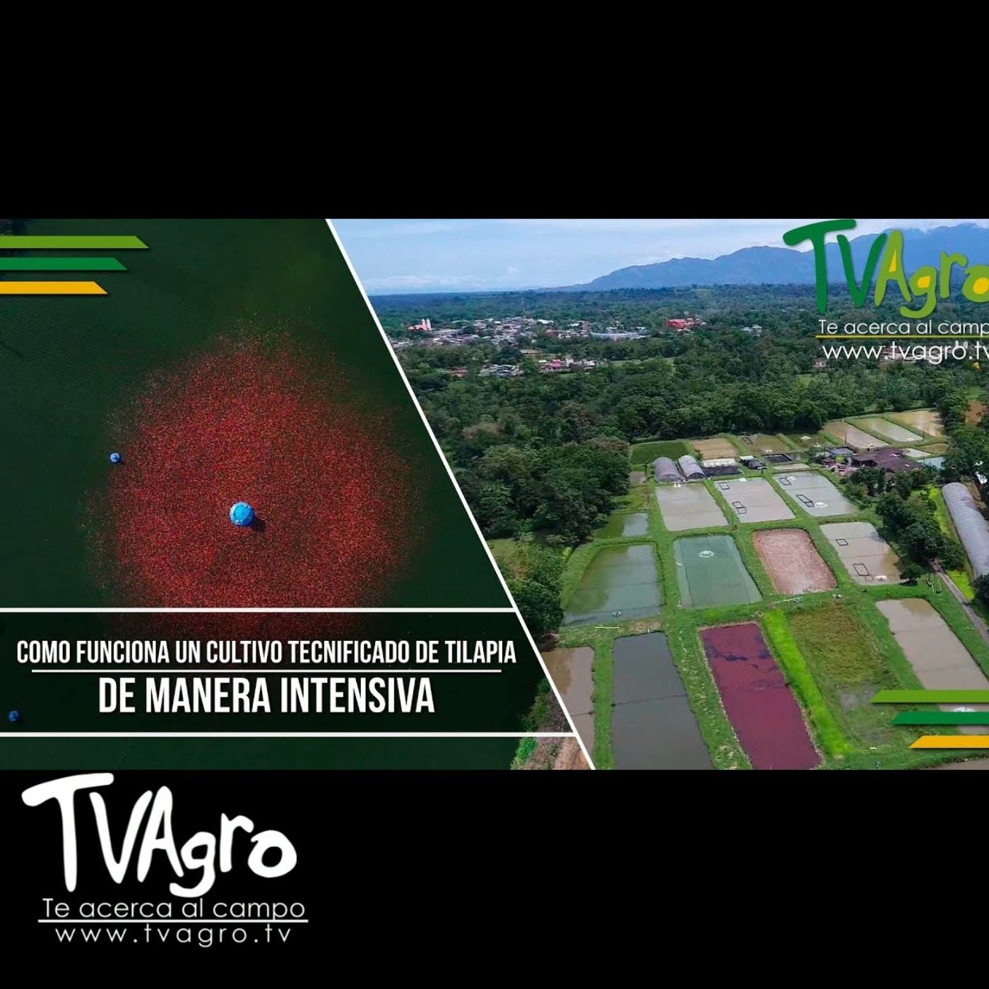 TV AGRO