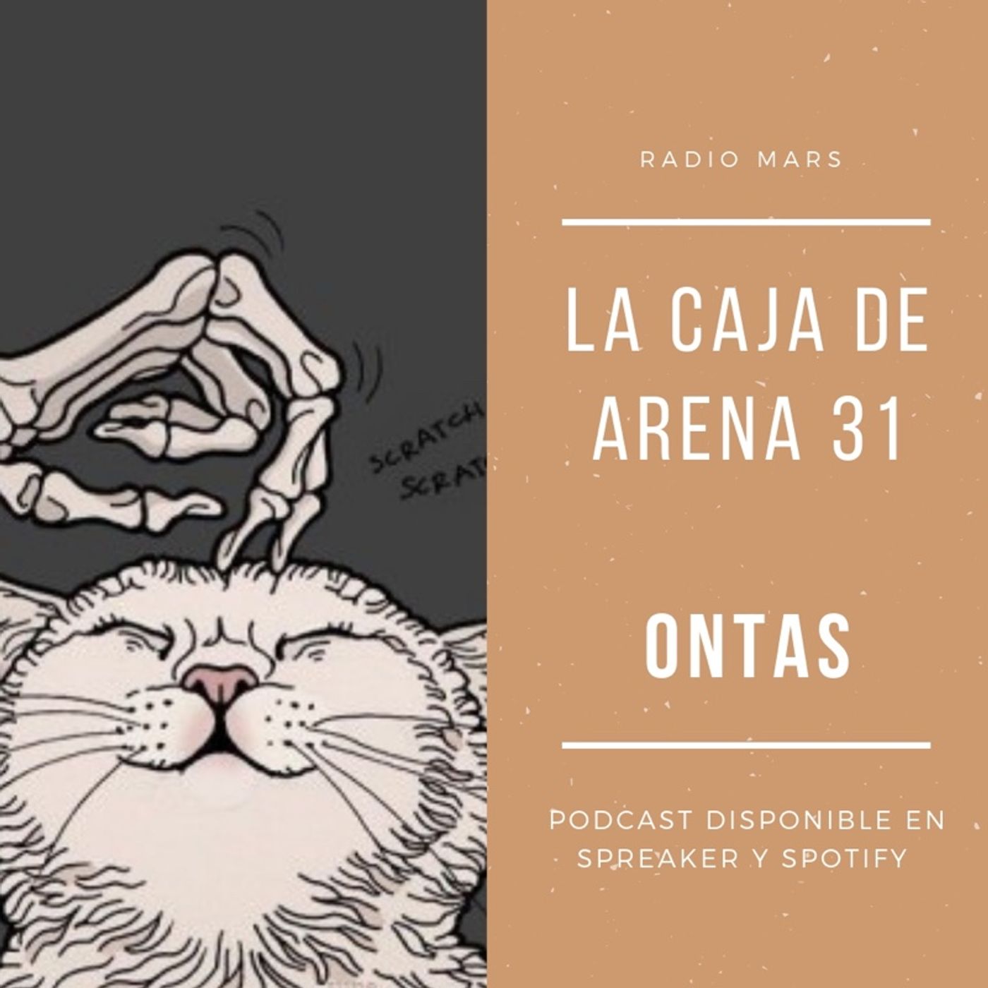 #LaCajaDeArena